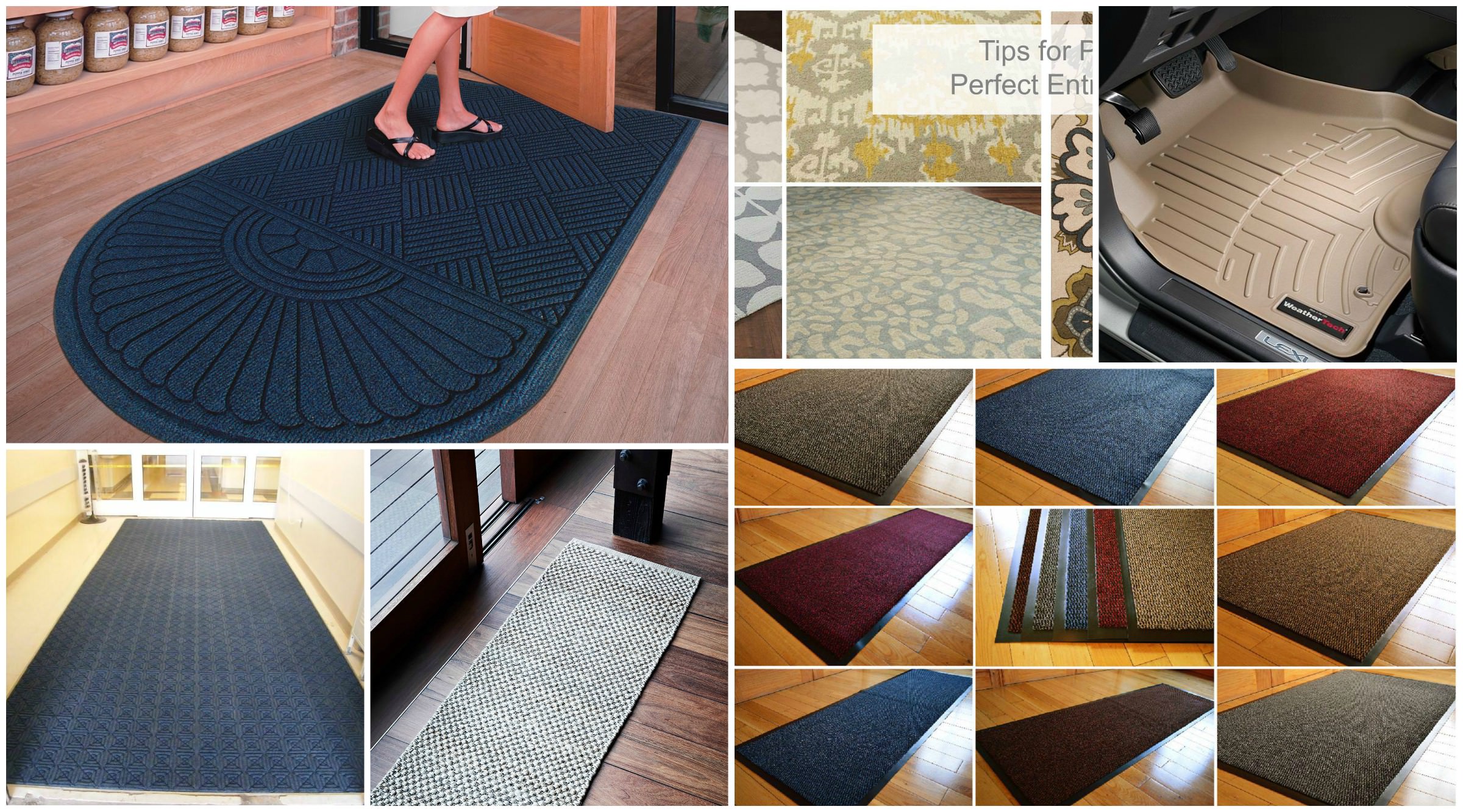 Image of: Entrance Rugs