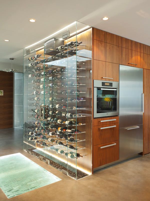 Image of: Excellent-Wine-Cellar-Designs