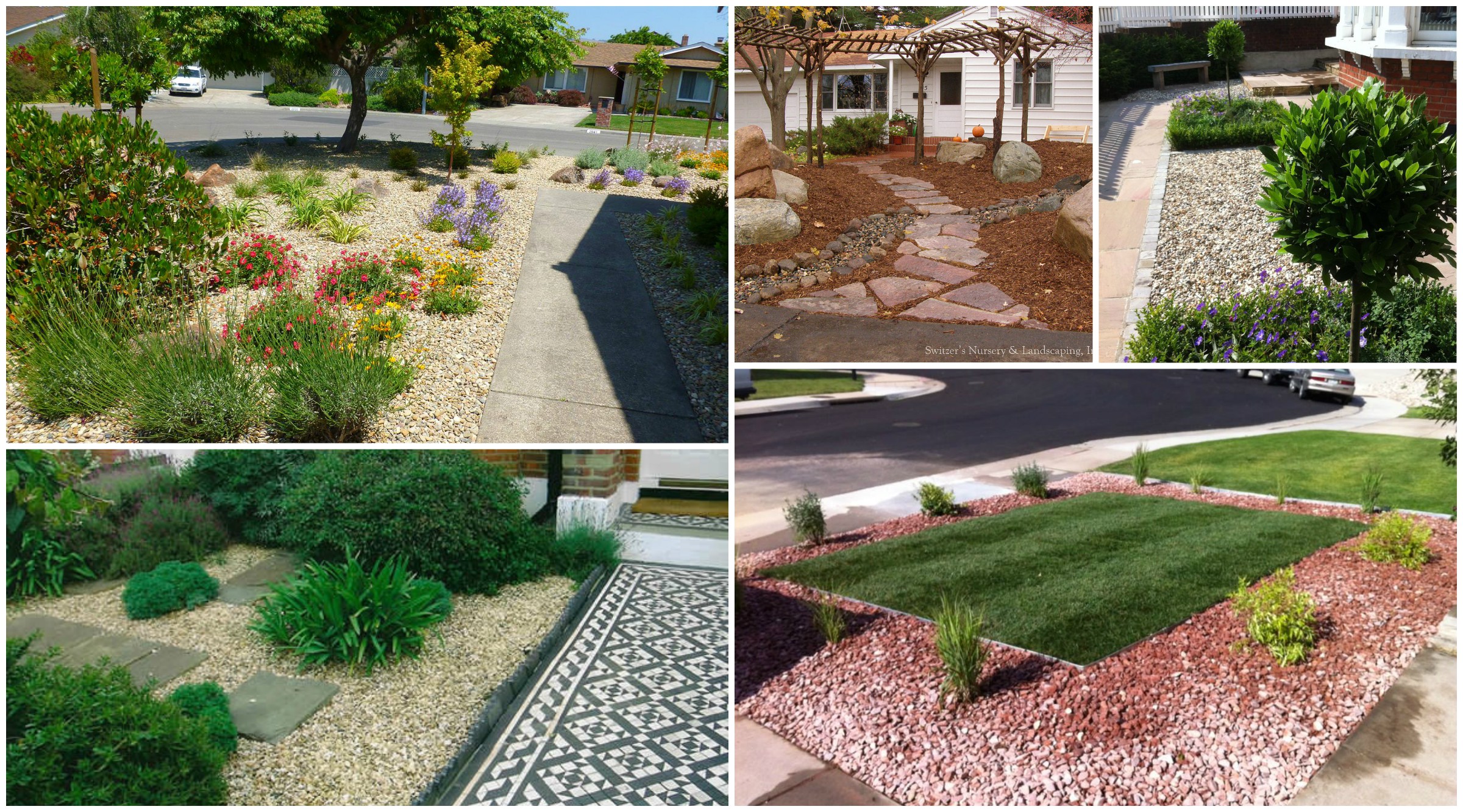 Image of: Front-Yard-Landscaping