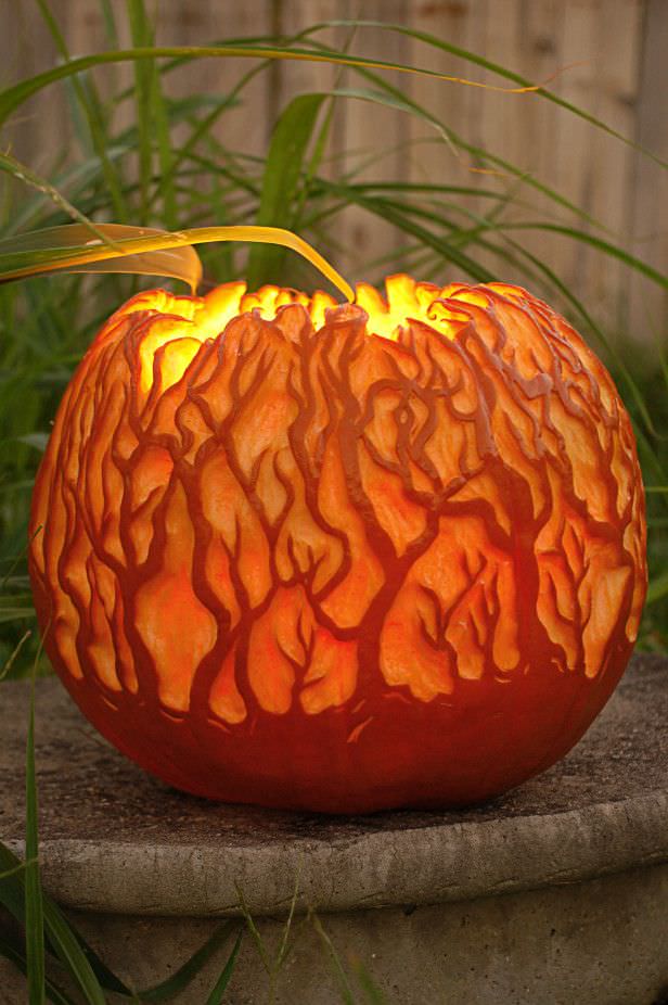Image of: Pumpkin-Carving-Patterns