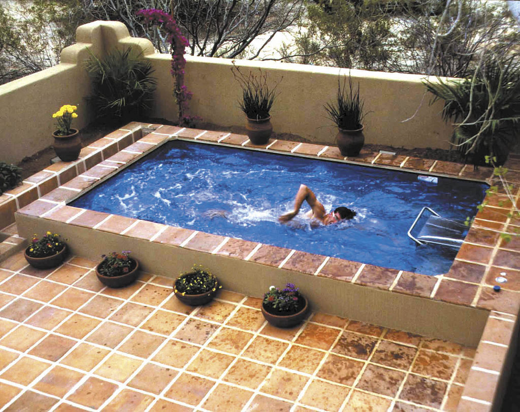 Image of: Small Backyard Designs with Pool