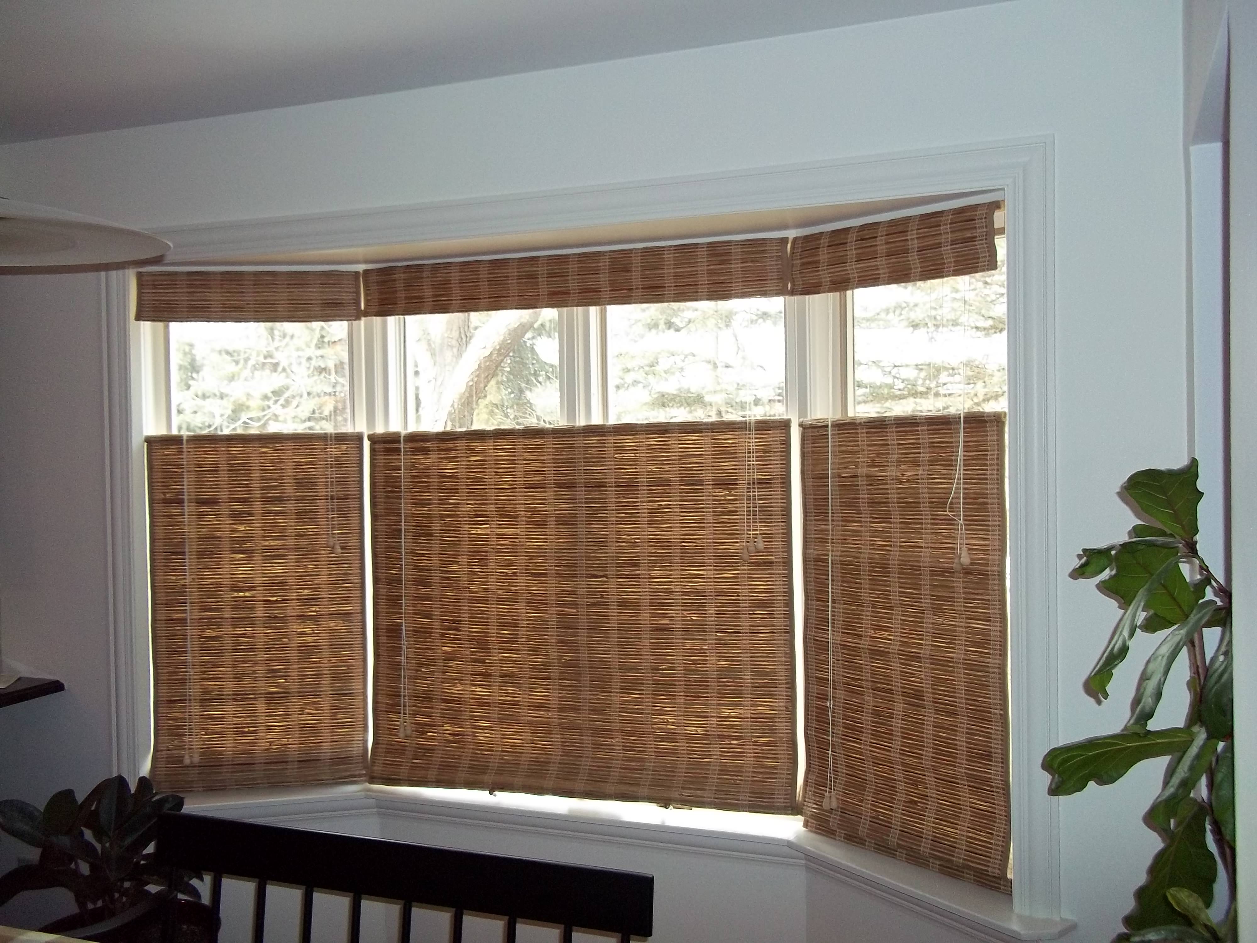 Image of: Picture Window Shades
